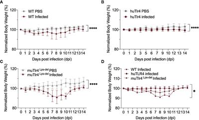 Role of TLR4 in Persistent Leptospira interrogans Infection: A Comparative In Vivo Study in Mice